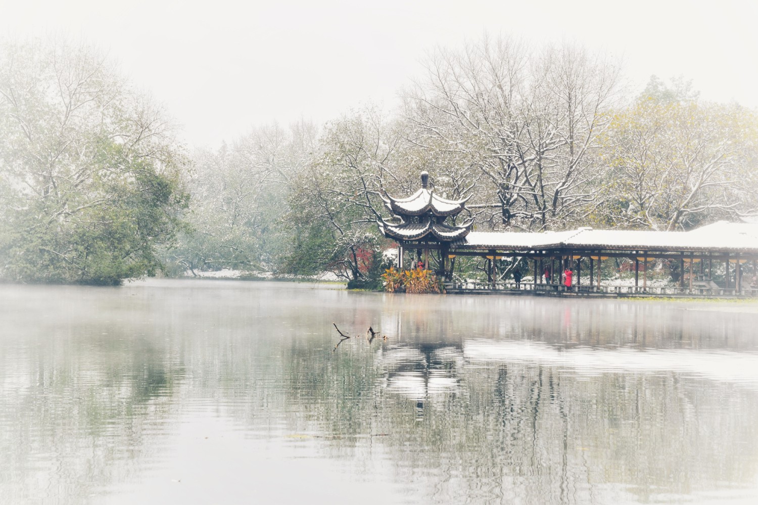 1574135145106393.jpg 1574135145106393.jpg