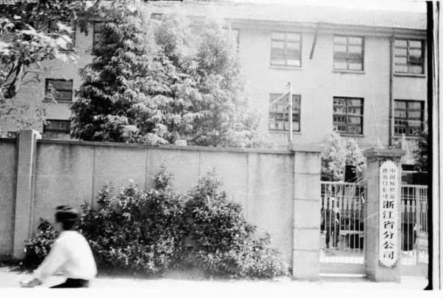 1709626253517971.jpg 05.jpg